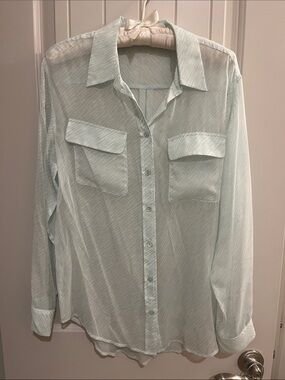 Equipment Mint Green Sheer Button-Down Blouse